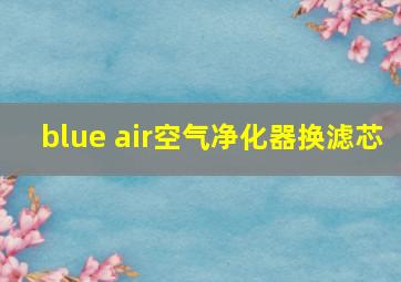 blue air空气净化器换滤芯